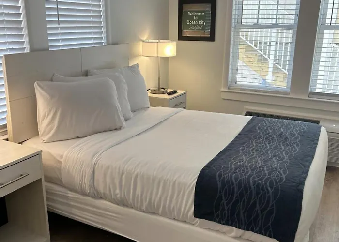 The Admiral Hotel/motel